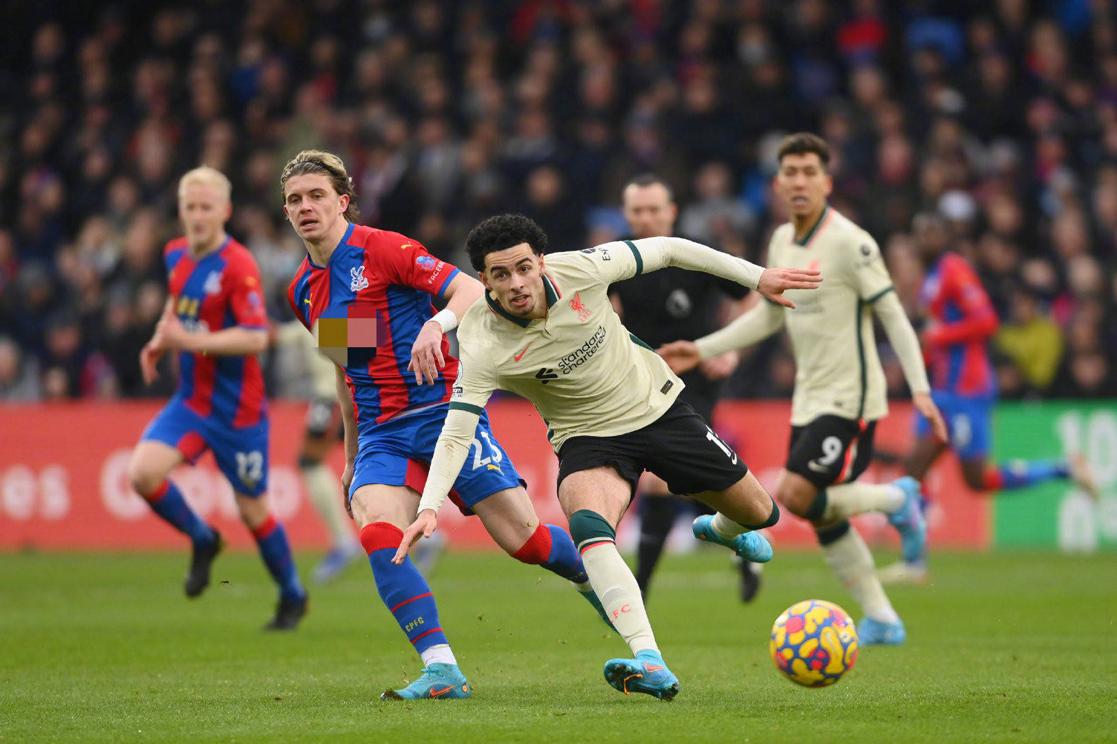 完全恢复健 完全恢复健